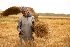 PM-KISAN 24th Instalment Reaches 9.34 Crore Farmer Families
